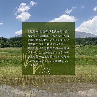 国産 菓子くるみ 殻付 1.5kg 信州 長野県 地元農家から自然の恵みをお届け
