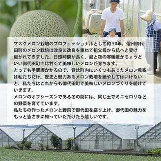 【令和8年度産先行受付】星と蜂のメロン　Mサイズ2玉【配送不可地域：離島】