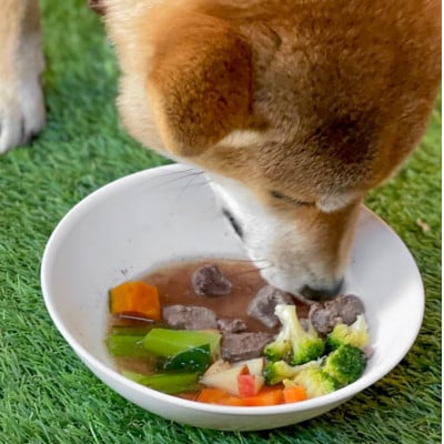 軽井沢鹿工房　愛犬用鹿肉　手作り食応援セット【配送不可地域：離島】