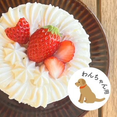 愛犬用 完熟いちごネイキッドケーキ Mサイズ 1個【配送不可地域：離島】