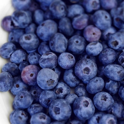 バスク風軽井沢高原ブルーベリーチーズケーキ(5号サイズ)【配送不可地域：離島】