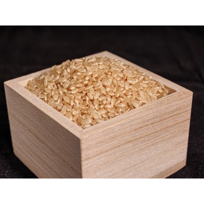 荻原くん家のお米　玄米　5kg　R7年御代田町産　ミネラル肥料使用