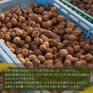 国産 菓子くるみ 殻付 1.5kg 信州 長野県 地元農家から自然の恵みをお届け