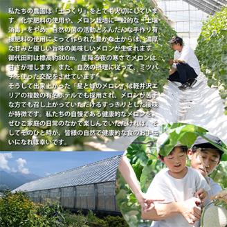 【令和8年度産先行受付】星と蜂のメロン　Lサイズ2玉【配送不可地域：離島】