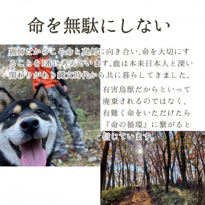 軽井沢鹿工房　愛犬用鹿肉ジャーキー　骨セット