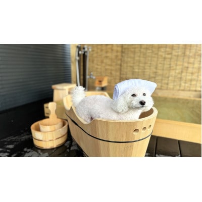 【Solana軽井沢別邸】トレーラーハウスホテル 宿泊券(1泊2日/5名様まで)平日・日曜限定