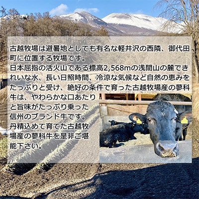 【毎月定期便】【牛肉カレー用】信州蓼科牛の厳選部位 おまかせ 600g(300g×2パック)全6回【配送不可地域：離島】