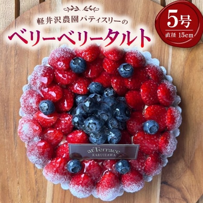 【毎月定期便】軽井沢の農園パティスリー 人気ブルーベリータルト・チーズケーキの3点セット全3回【配送不可地域：離島】