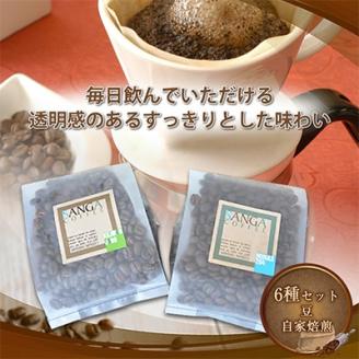 サンガコーヒー〈豆〉100g×6種