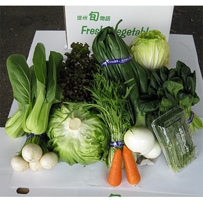 長野県御代田町産 旬の新鮮野菜セット【配送不可地域：離島・北海道・沖縄県・東北・中国・四国・九州】