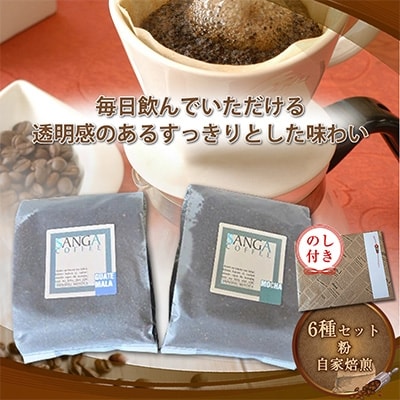 【のし付き】サンガコーヒー〈粉〉100g×6種
