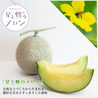 【令和8年度産先行受付】星と蜂のメロン　Lサイズ2玉【配送不可地域：離島】