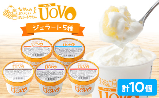 ながののおいしいジェラートやさん　120ml×10個【配送不可地域：離島】