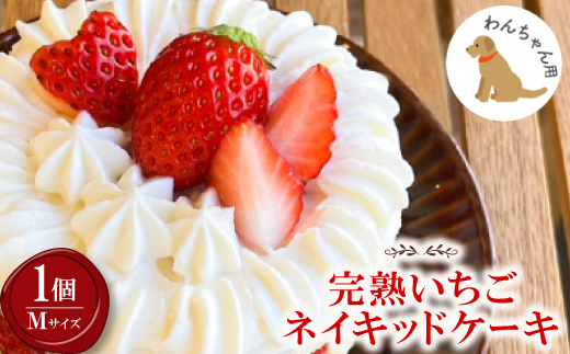 【2026年発送】愛犬用 完熟いちごネイキッドケーキ Mサイズ 1個【配送不可地域：離島】