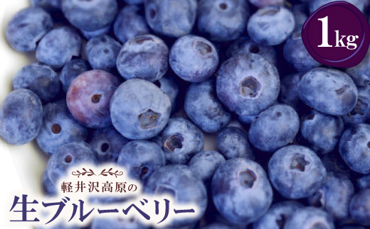 【2026年出荷分 先行予約】軽井沢高原の生ブルーベリー【1kg】【配送不可地域：離島】
