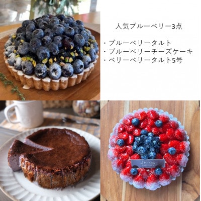 【毎月定期便】軽井沢の農園パティスリー 人気ブルーベリータルト・チーズケーキの3点セット全3回【配送不可地域：離島】