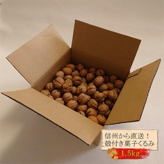 国産 菓子くるみ 殻付 1.5kg 信州 長野県 地元農家から自然の恵みをお届け