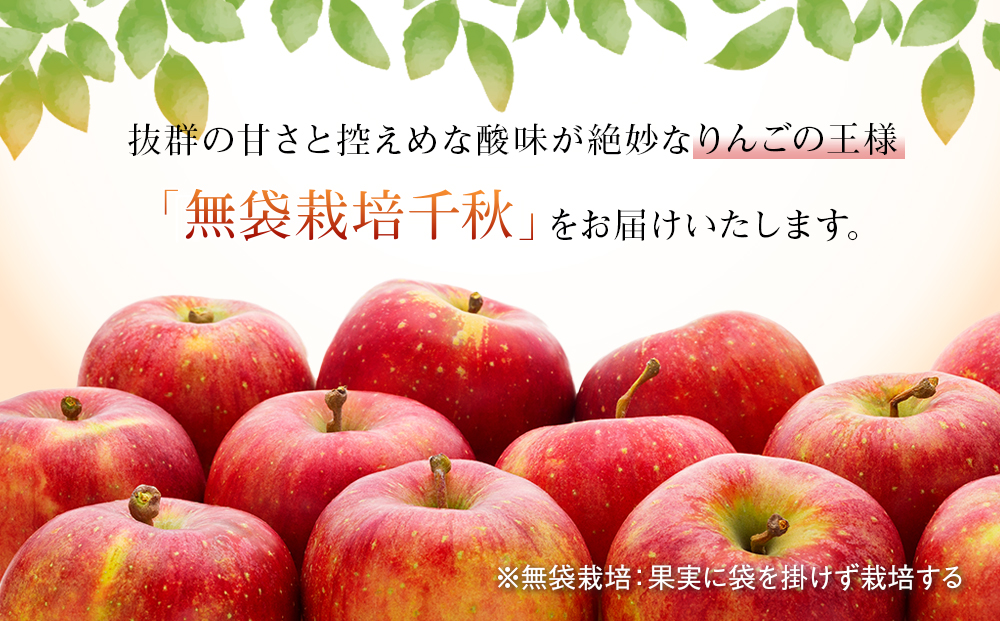 完熟りんご【千秋】約5kg