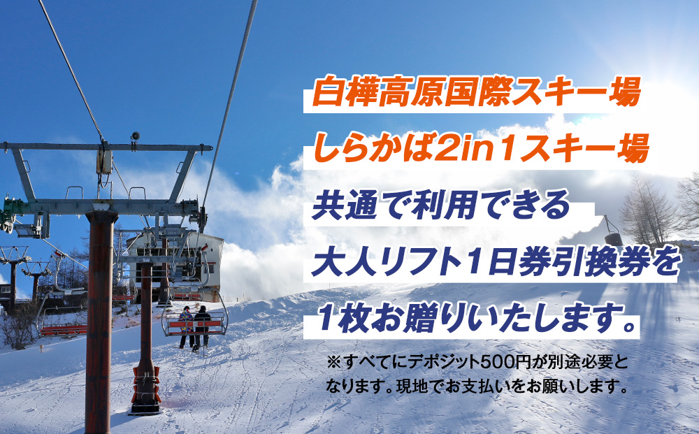 白樺高原国際スキー場・しらかば２in１スキー場大人共通リフト券