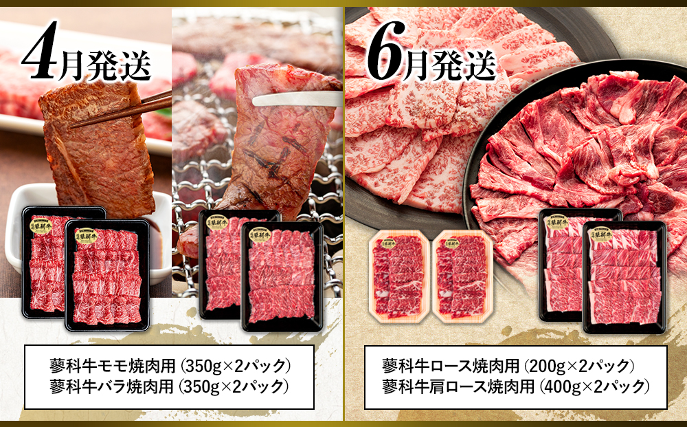 肉の定期便　蓼科牛6回お届け