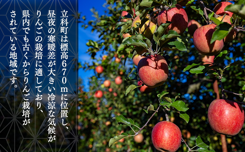 サンふじ・ぐんま名月ミックス（約5㎏、優13～18玉）