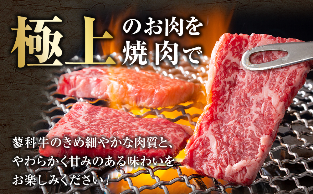 蓼科牛・立科高原豚焼肉セット（牛ロース200g×4パック、牛モモ350g×2パック、牛バラ350g×2パック、牛肩ロース400g×2パック、豚肩ロース400g×2パック）