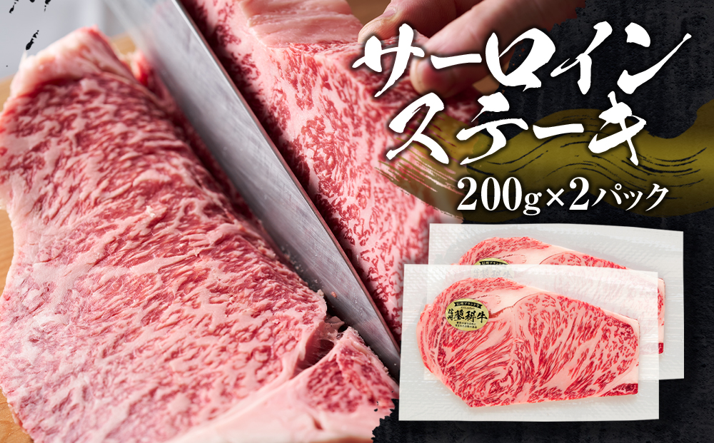 蓼科牛サーロインステーキ200g×2・ヒレステーキ120g×2