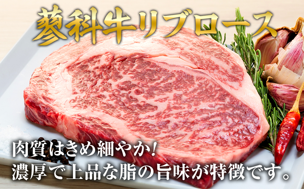 蓼科牛 リブロースステーキ250g×2