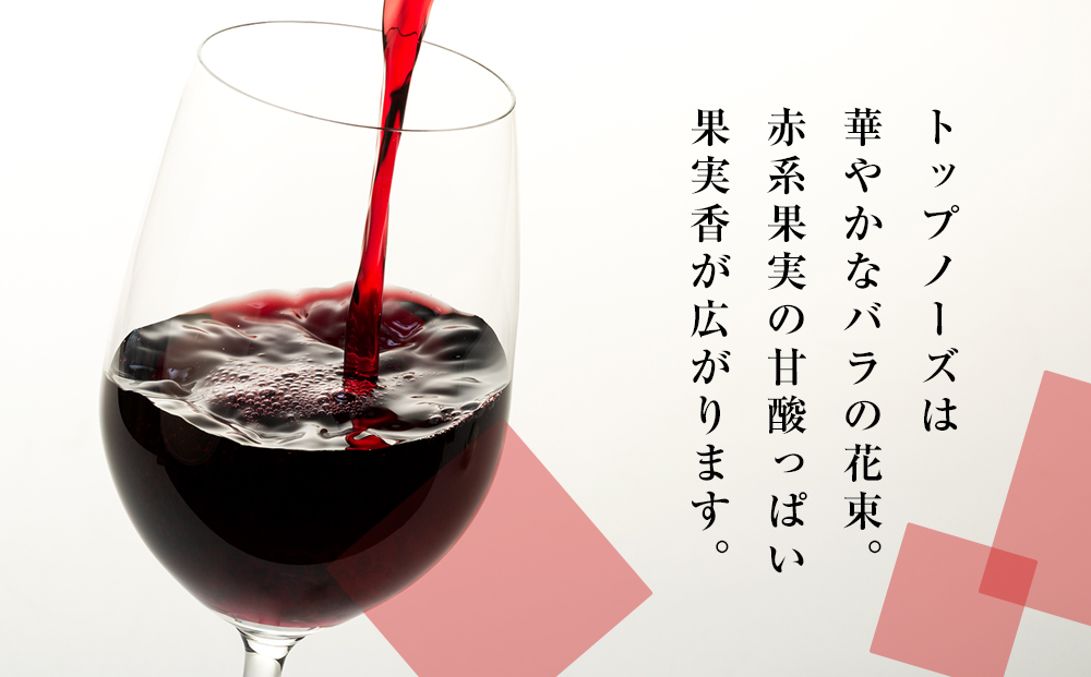 たてしなップル赤ワイン　蓼メルロー2021