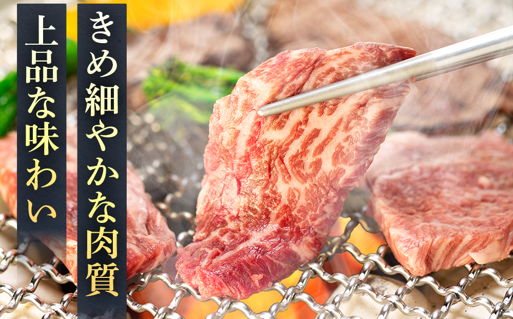 蓼科牛 上焼肉セット