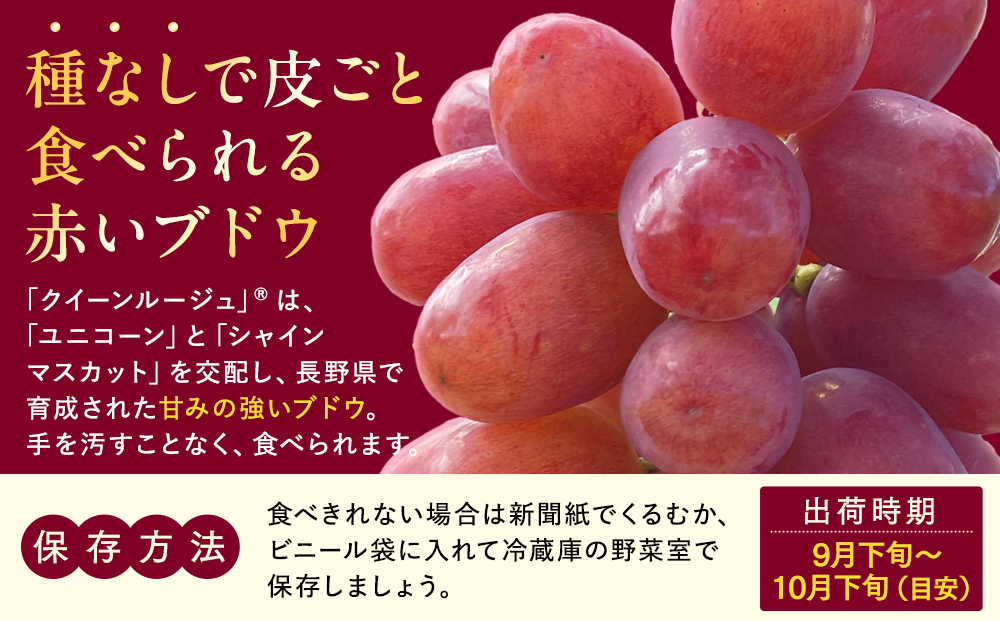 クイーンルージュ(約1kg、2～3房)