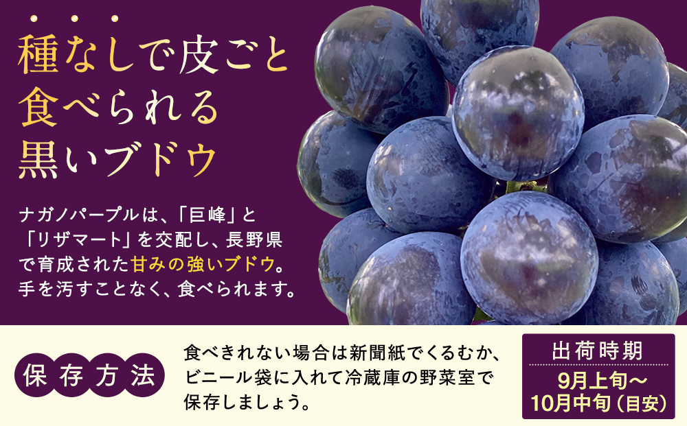 ナガノパープル(約1kg、2～3房)