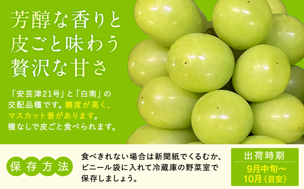 シャインマスカット(約1kg、2～3房)