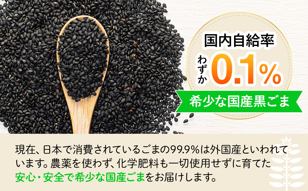 立科町産 黒ごま（炒り胡麻） 25g×5袋