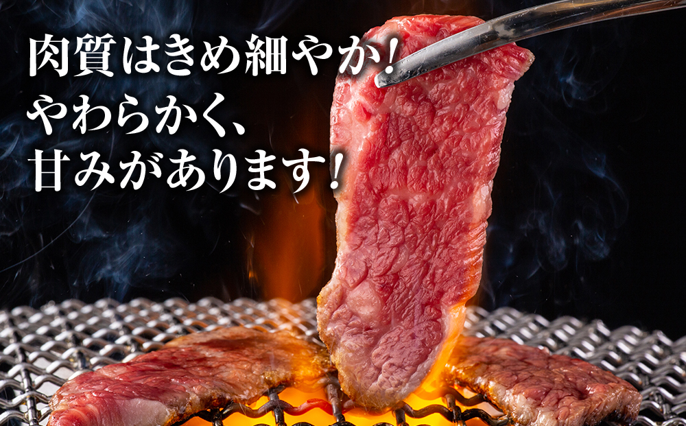 蓼科牛焼肉120g×4パック（バラ・モモ各2パック）