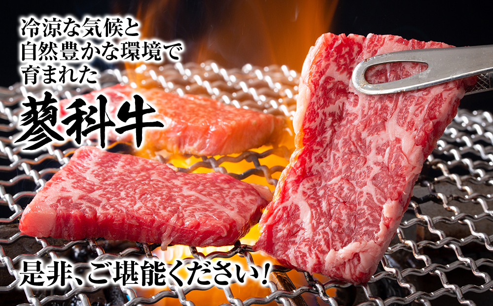 蓼科牛モモ焼肉350g×2