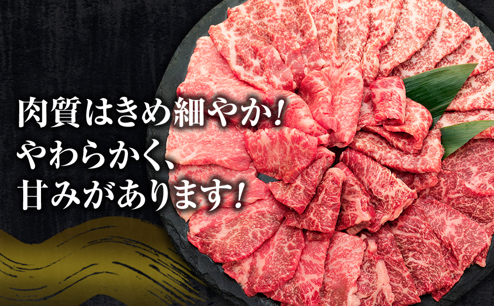 蓼科牛焼肉セット1（ロース200g×2パック、モモ350g、バラ350g）
