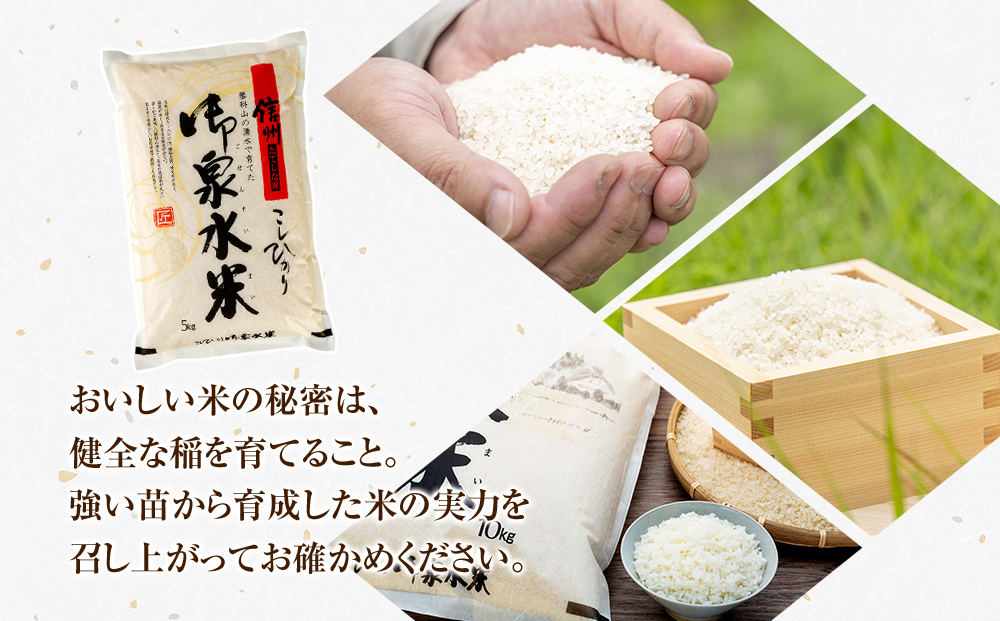 【令和8年産米】 信州たてしな産 御泉水米 こしひかり 10kg