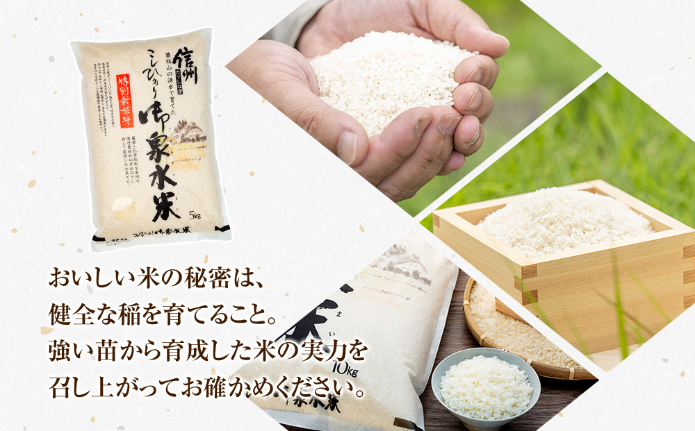 【令和8年産米】 信州たてしな産 御泉水米こしひかり 10kg 特別栽培米