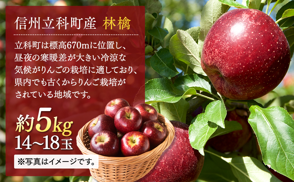 秋映（約5kg、優14～18玉）
