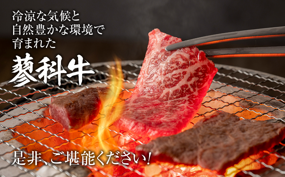 蓼科牛ロース焼肉200g×1