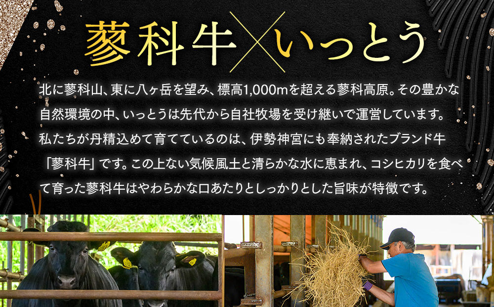 蓼科牛 上焼肉セット