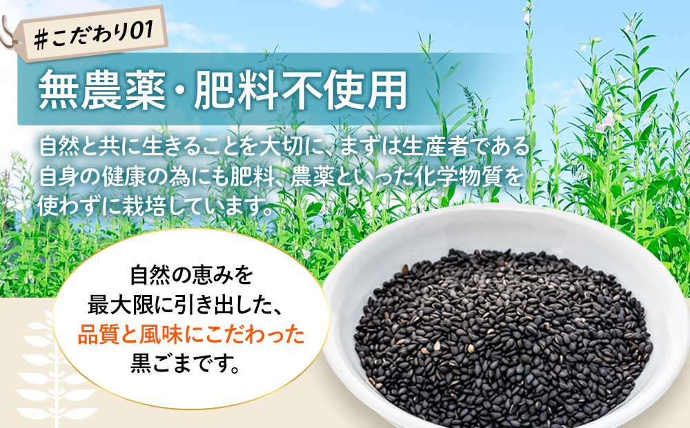 立科町産 黒ごま（炒り胡麻） 25g×2袋
