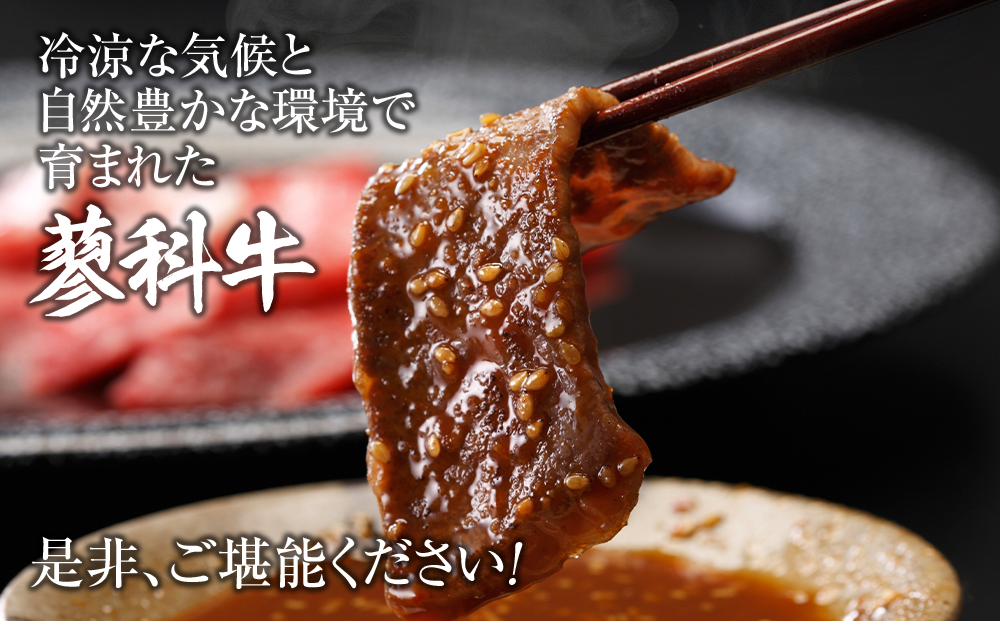 蓼科牛焼肉セット1（ロース200g×2パック、モモ350g、バラ350g）
