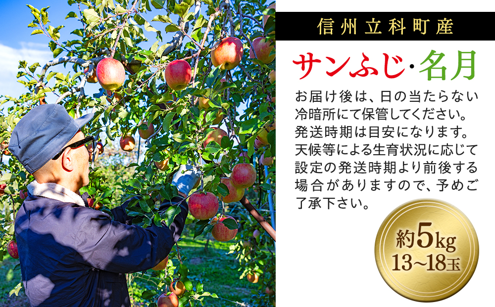 サンふじ・ぐんま名月ミックス（約5㎏、優13～18玉）