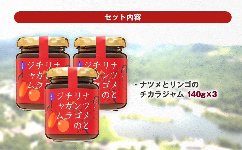 ナツメとリンゴのチカラジャム3個