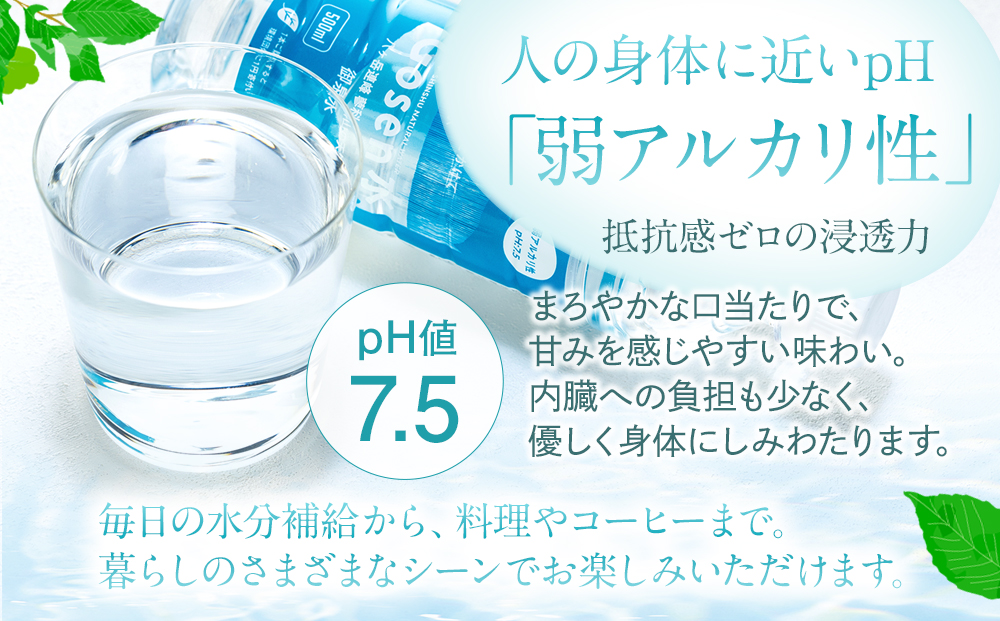 蓼科山の天然水 ミネラルウォーター 「Gosen水」 500ml×24本