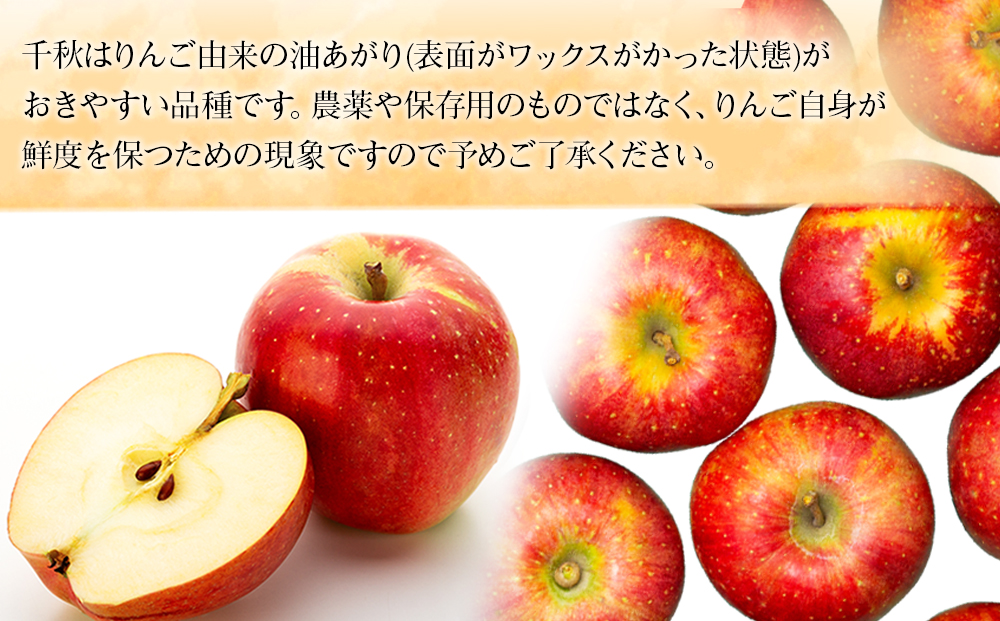 完熟りんご【千秋】約5kg