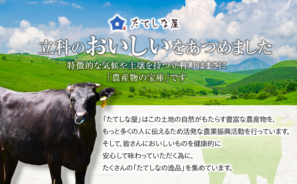 蓼科牛切落し400g×2