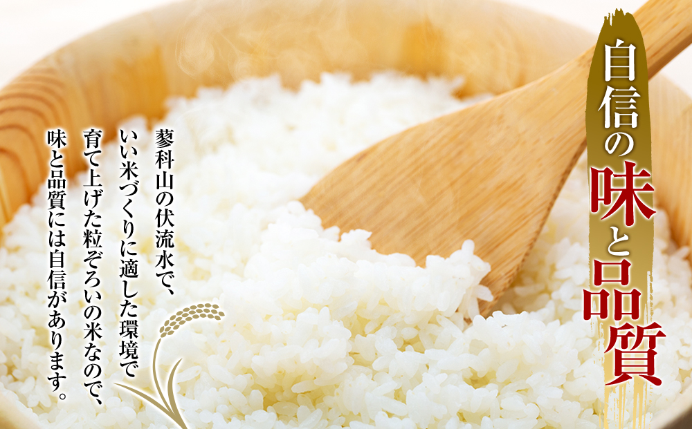 【令和8年産米】 信州たてしな産 御泉水米こしひかり 10kg 特別栽培米